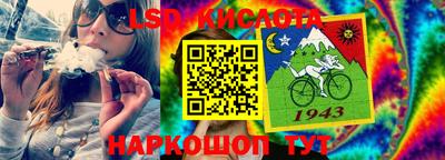 крисы Камышлов