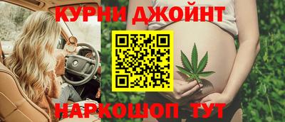 крисы Камышлов