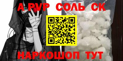 крисы Камышлов