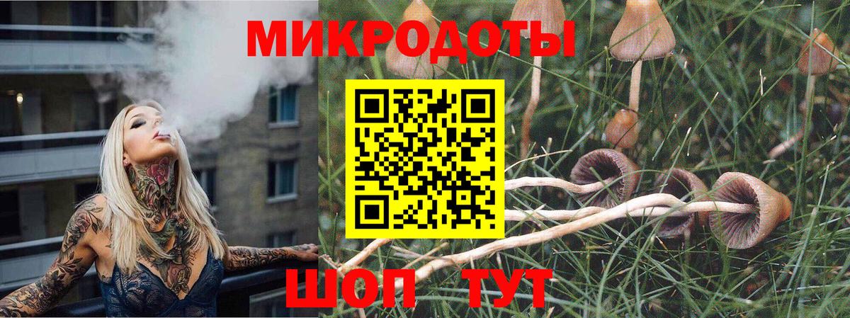 Псилоцибиновые грибы мицелий  Галлюциногенные грибы Psilocybine cubensis  Вход с VPN  Кулебаки 